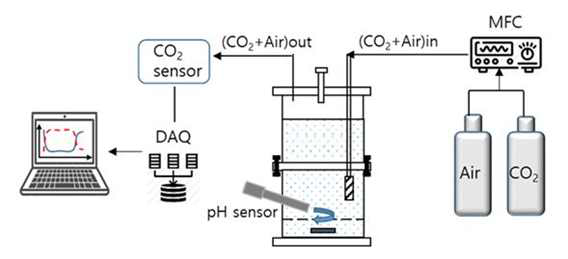 Mineral carbonation system