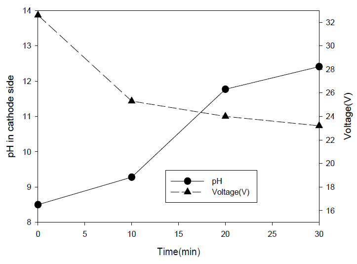 전기분해 시간에 따른 전압, pH 변화
