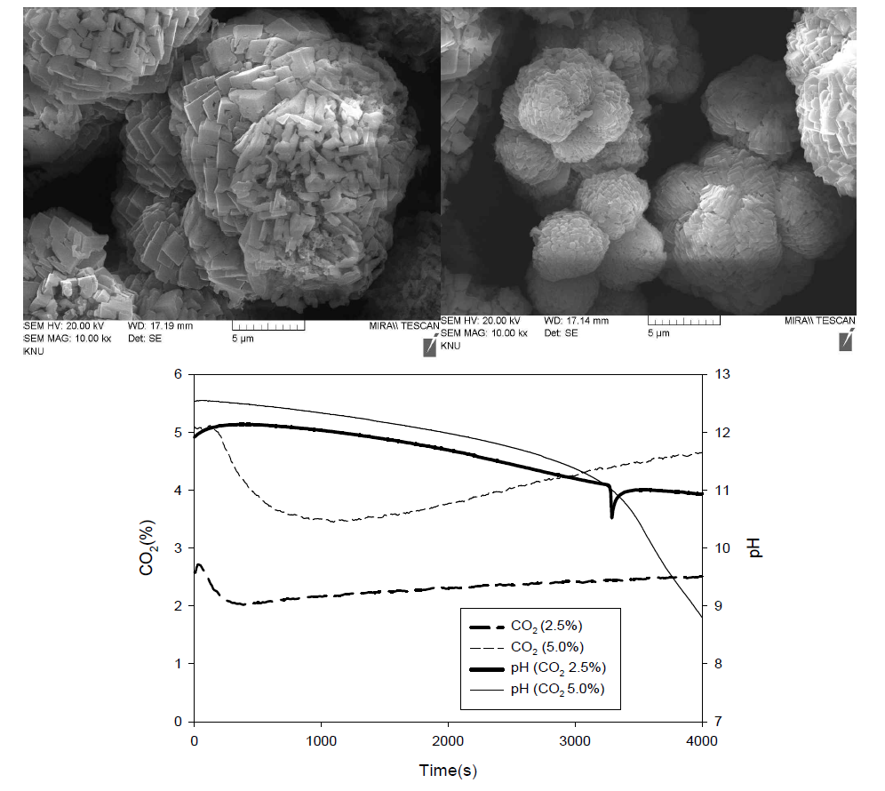 전기분해 음극수여과액 광물탄산화 (5% CO2, 2.5% CO2)