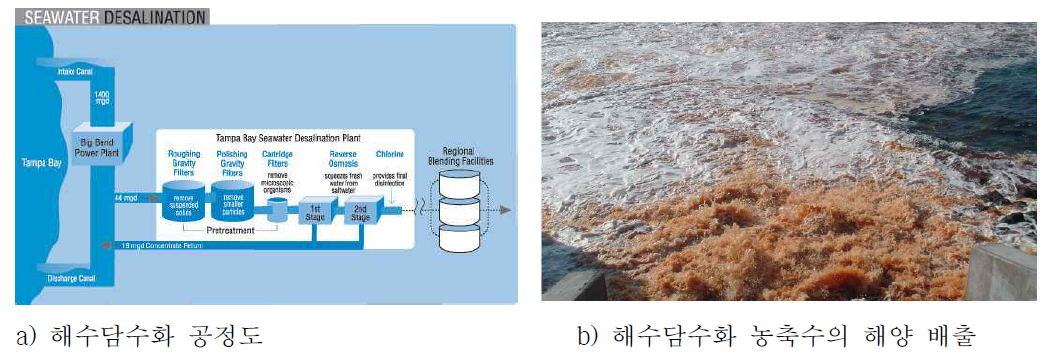 해수담수화공정 및 농축수의 해양배출의 환경오염