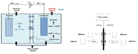 Principle of electrolysis cell