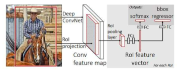 Fast R-CNN의 구조
