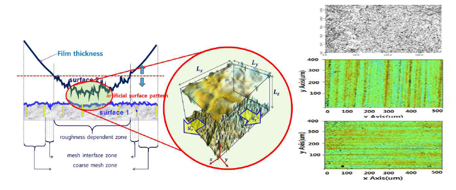 접촉면의 표면 거칠기 및 표면 패턴닝에 대한 deterministic roughness 데이터 처리내용과 표면거칠기의 방향(isotropic and anisotropic)에 따른 측정 데이터
