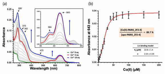 (a) 코발트 첨가에 따른 PARIS_ZF2-4의 UV-vis spectrum 결과. (b) 코발트 첨가에 따른 643 nm 파장의 변화량을 1:n 결합 모델에 적용한 그래프