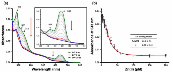 (a) 아연 첨가에 따른 PARIS_ZF2-4의 UV-vis spectrum 결과. (b) 아연 첨가에 따른 643 nm 파장의 변화량을 1:n 결합 모델에 적용한 그래프