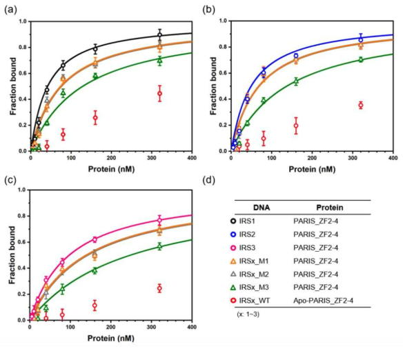 PARIS_ZF2-4과 (a) mutated IRS1, (b) mutated IRS2, (c) mutated IRS3의 형광이방성 측정 결과를 fraction bound로 변환 후 1:1 binding model을 통해 curve fitting한 결과. (d) PARIS_ZF2-4와 DNA 형광 이방성 측정 그래프의 범례
