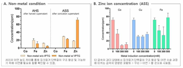 PARIS 징크핑거 단백질의 타금속 첨가에 따른 금속 배위결합에 대한 ICP-OES 결과 분석 (A) IPTG를 첨가하지 않았을 경우의 단백질내 금속 이온에 대한 연구 (B) 타금속을 첨가하였을 경우 금속 첨가에 따른 아연 이온 농도의 변화