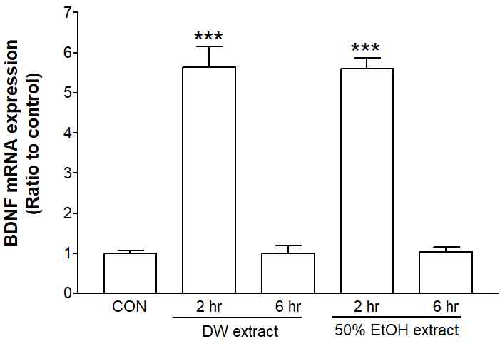 Relative value of BDNF mRNA expression. The extract of C. officinale (250 ug/ml) was incubated for 2 or 6 hr in cultured neurons. ***p<0.001 compared to control