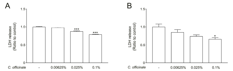 Aged neuronal cell death and anti-aging effect of distilled water extracted C. officinale in cultured neurons. The extract of C. officinale was incubated for 24 (A) or 72 hr (B). *p<0.05, ***p<0.001 compared to control, respectively