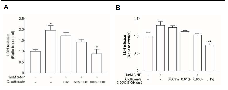 Neuroprotective effects of C. officinale on neuronal cell death-induced by 3-NP. (A) LDH release was examined at 6 hrs after stimulating with 3-NP. (B) Ethanol extract showed strong neuroprotective effect. * p<0.05 compared to the control and #p<0.05, ##p<0.01 compared to the 3-NP-treated neuronal cells, respectively