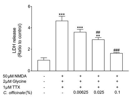 Effect of C. officinale extract against NMDA-induced neurotoxicity in cultured neurons. **p<0.01, ***p<0.001 compared to control, ##p<0.01, ###p<0.001 compared to NMDA-stimulated group, respectively