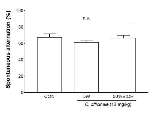 The effect of C. officinale on the learning and memory with Y maze