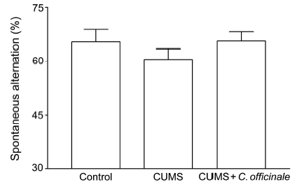 The effect of C. officinale on learning and memory in CUMS-induced depression model