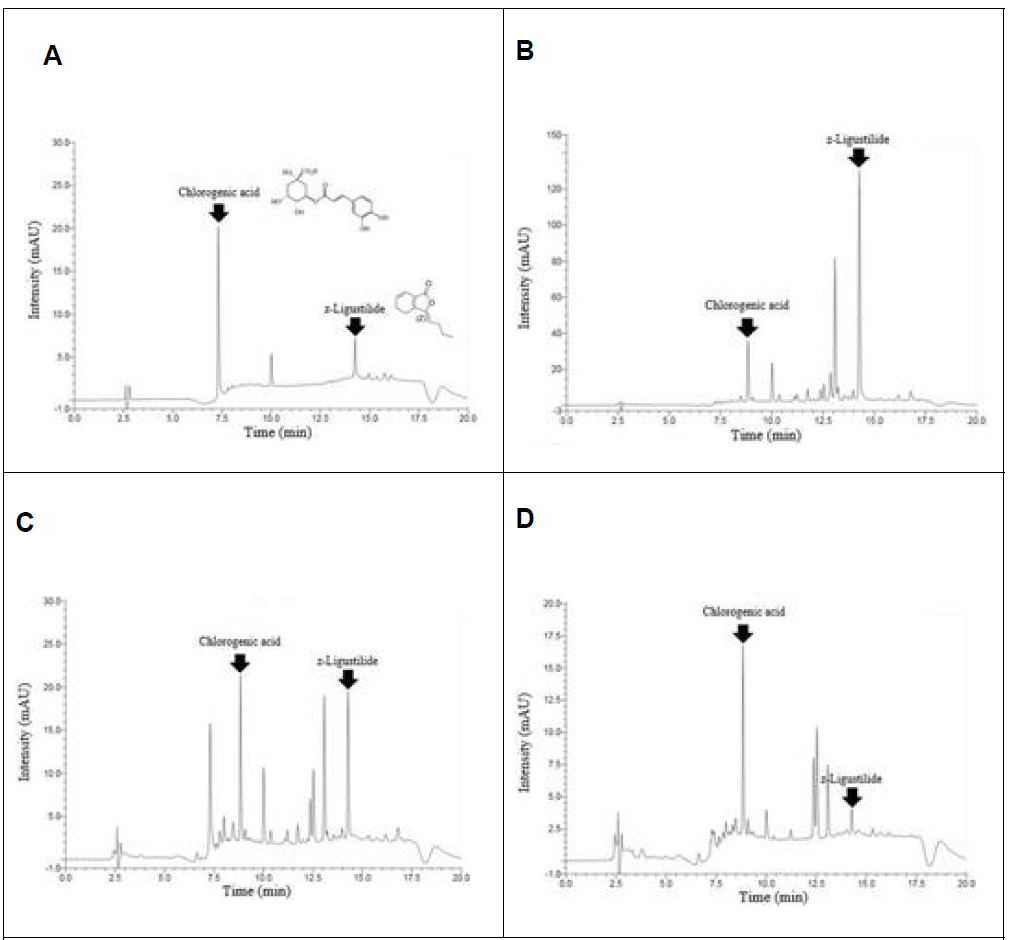 HPLC analysis (A) Standard mixture of ligustilide and chlorogenic acid (B) 100% ethanol extract (C) 50% ethanol extract (D) Distilled water extract of C. officniale