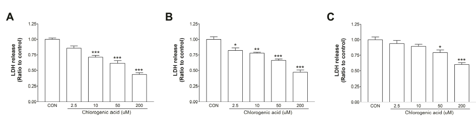 Aged neuronal cell death and anti-aging effect of chlorogenic acid in cultured neurons. The chlorogenic acid was incubated for 24 (A), 48 (B), and 72 hr (C). *p<0.05, **p<0.01, compared to control, respectively