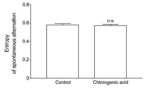 Analysis of Entropy spontaneous alternation in Y mazes following chlorogenic acid administration for 3 weeks