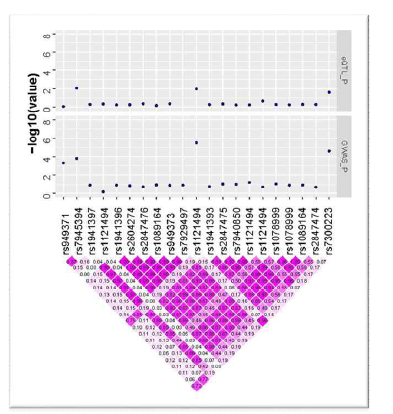 Integrating results of GWAS and functional studies