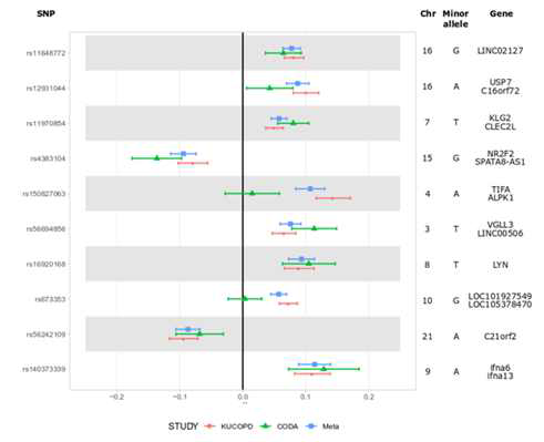 forest plot for 10 SNPs in COPD