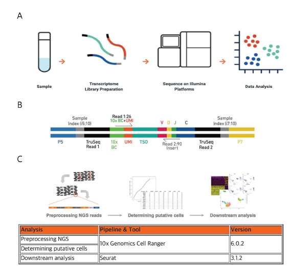 scRNA-seq.실험 방법