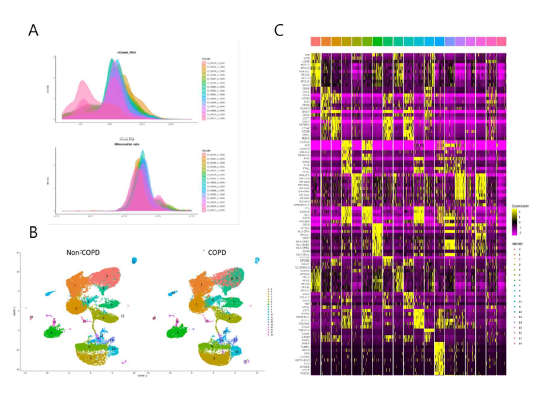 scRNA-seq. sub-population 분류 및 유전자 발현