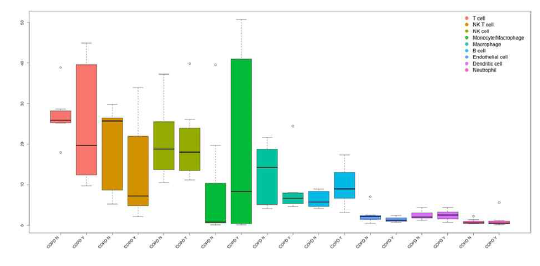 Cell type Proportion