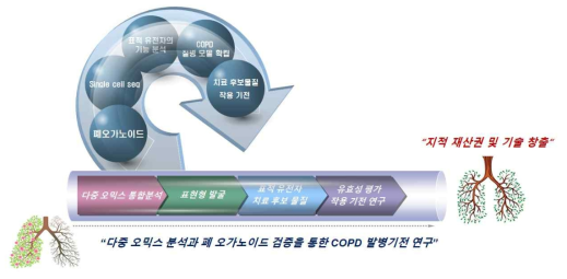 연구 개발 모식도
