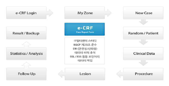 e-CRF workflow