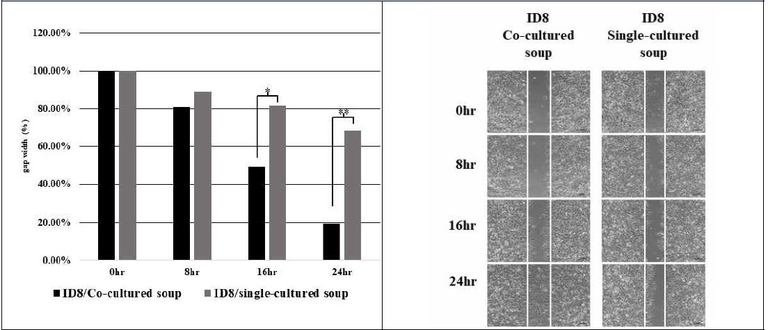 Mouse의 난소암 세포주의 wound healing 비교 결과