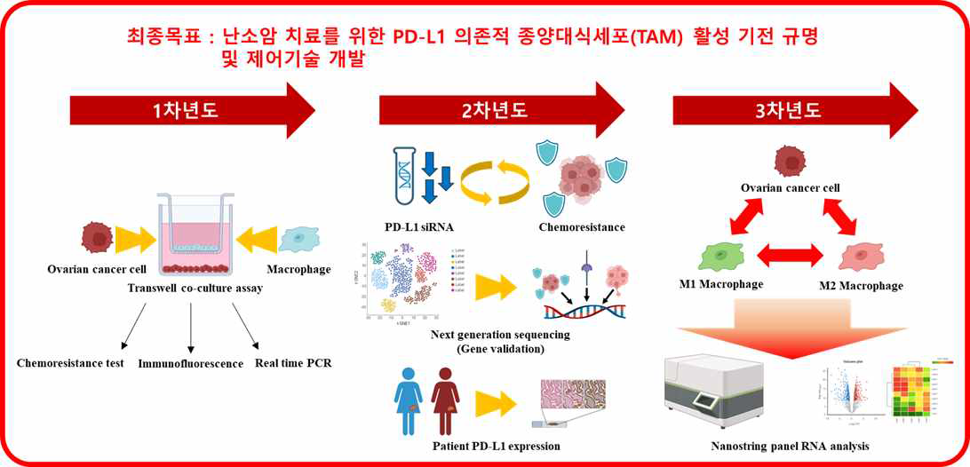 PD-L1 의존적 종양대식세포(TAM) 활성기전 규명 및 제어기술 개발