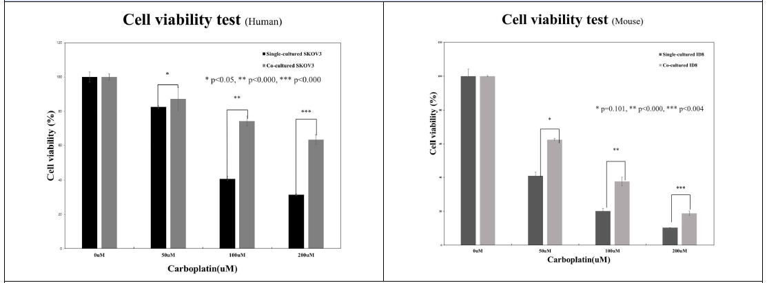 Human과 Mouse의 난소암 세포주와 대식세포의 공동배양 후 항암제 내성 발현 확인