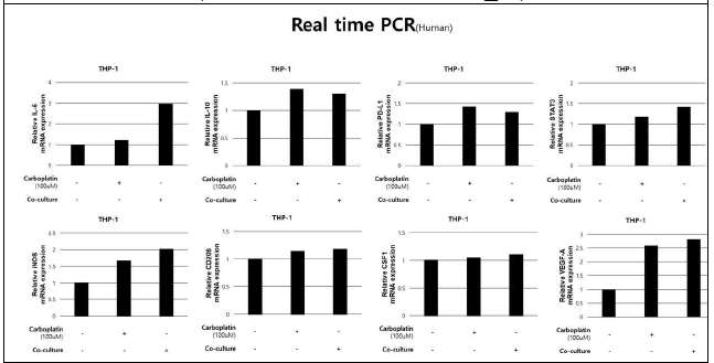 공동배양/Carboplatin 처리 후 Human 대식 세포주(THP-1)에서 주요 유전자 발현량 변화를 확인한 Realtime PCR 결과