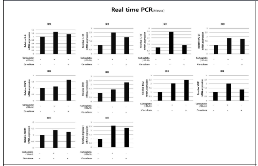 공동배양/Carboplatin 처리 후 Mouse 난소암 세포주(ID8)에서 주요 유전자 발현량 변화를 확인한 Realtime PCR 결과