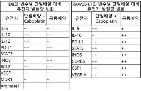 ID8과 RAW264.7의 변수별 단일배양 대비 유전자 발현량 변화 (++ : Fold change>1.5, + : 1.5>Fold change>0)