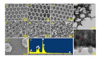 SEM, TEM, EDX of SnO2 and SnO2/Bi2S3