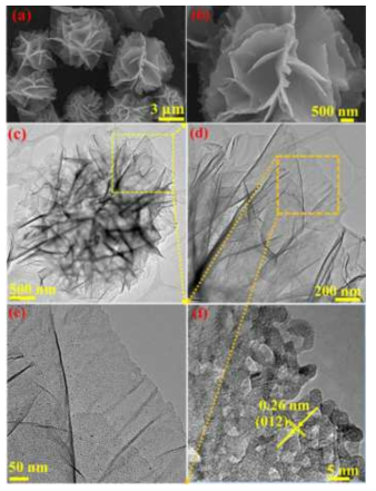 (a-b) SEM, (c-e) TEM with low and high magnification, and (f) fringe patterns of Ni3Mn1-T100