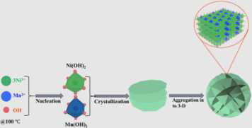 Schematic diagram for the synthetic mechanism of the Ni3Mn1-T1003D flower-like structures