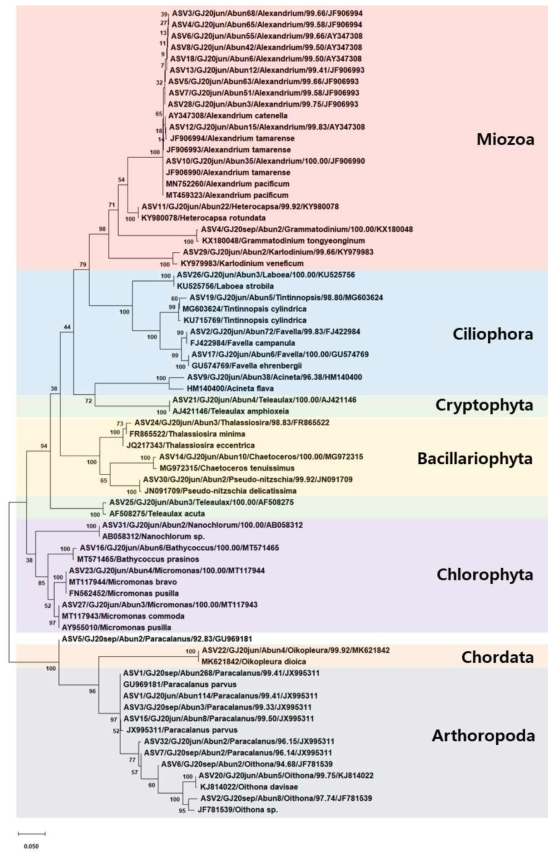 18S 유전자 염기서열을 이용한 Maximum Likelihood phylogenetic tree