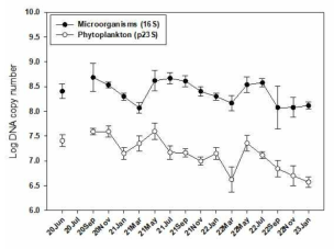 월별 식물플랑크톤과 미생물의 정량비교
