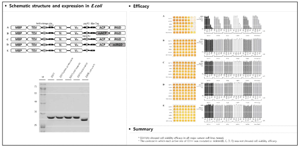 D311의 각 모듈을 점돌연변이한 mutant D311의 유효성 평가