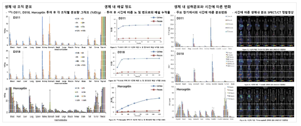 SKOV3-xenografted BALB/c nude mouse에서 D311 및 D318의 비임상 약동학 분석