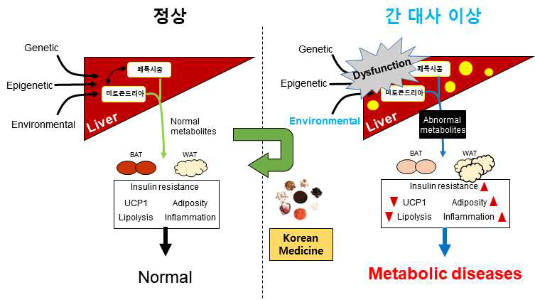 본 연구개발과제의 개요