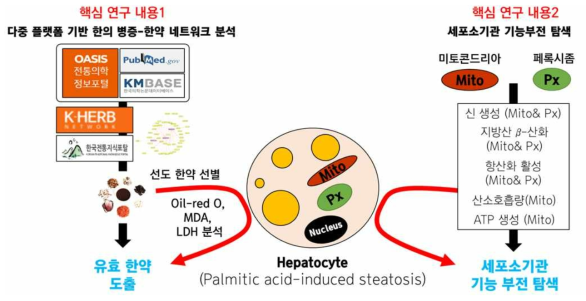 본 연구개발과제의 수행 과정 및 수행 내용