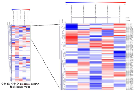 분석된 exosome 내의 microRNA 분포도의 도식화 및 크기별 분포도