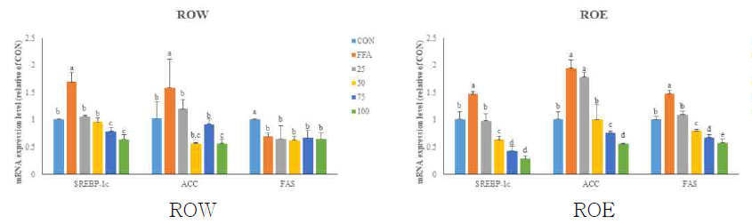 mRNA expression level by RT-PCR