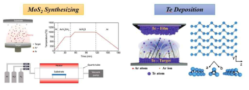 광 다이오드를 위한 MoS2, Te 박막 합성 및 증착 모식도