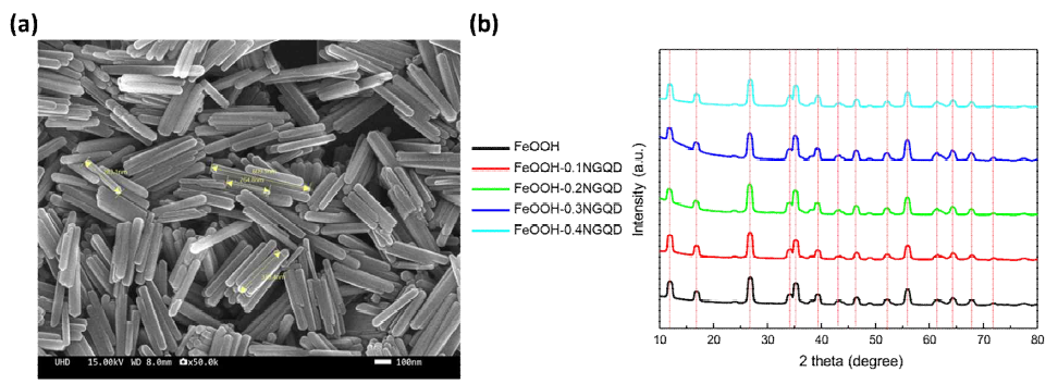 FeOOH-NGQD의 SEM 이미지 및 XRD 결정 분석