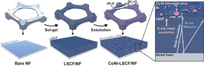 CoNi-LSCF/NF 수전해 촉매 합성 모식도