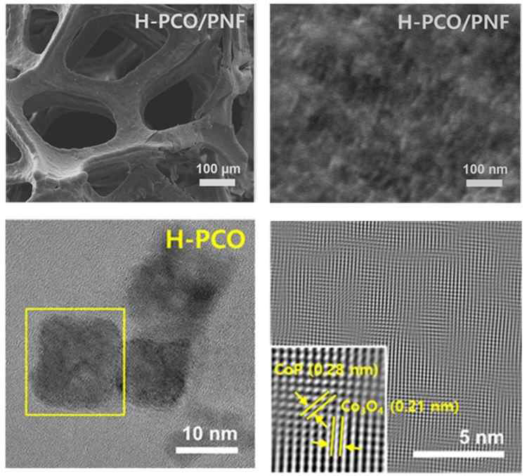 H-PCO/PNF 촉매의 SEM 및 TEM 분석
