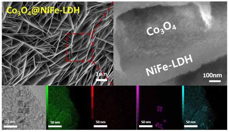 Co3O4@NiFe-LDH/NF 촉매의 SEM 및 TEM 분석과 원소 분석