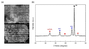 Ni foam에 직접성장한 LaFeO3 페로브스카이트 산화물 촉매의 (a) 전자현미경 사진 및 (b) 엑스선 회절 패턴 결정 분석
